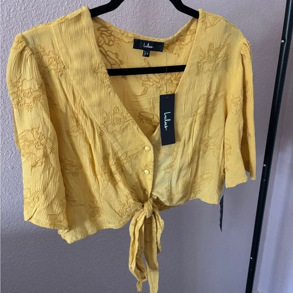 NWT Lulus Delightful Darling Floral Embroidered Tie-front Boho Festival Crop Top - Picture 3 of 3